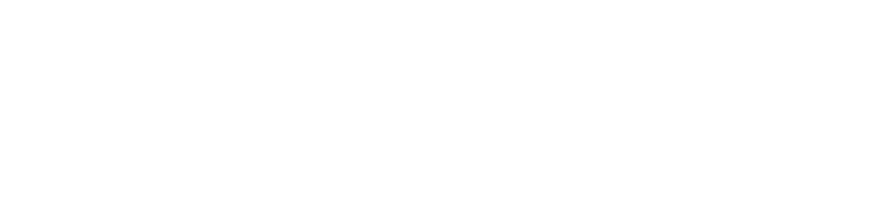 BOAF logo White BOAF logo White